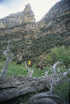 Wyoming Cowboy Ranch Adventure